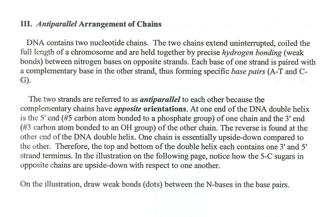 III. Antiparallel Arrangement of the two Chains
