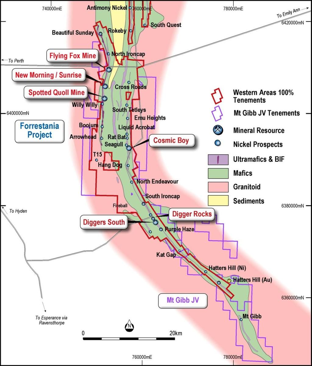 FORRESTANIA TENEMENTS Regional Geology 120km strike length (900 sq km) of prospective Forrestania Nickel Project, within 400km long nickel province Six ultramafic belts