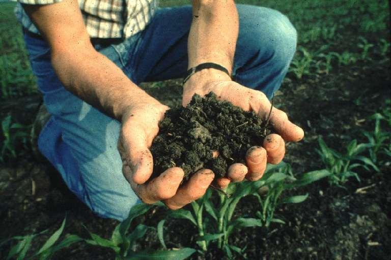 soil health is