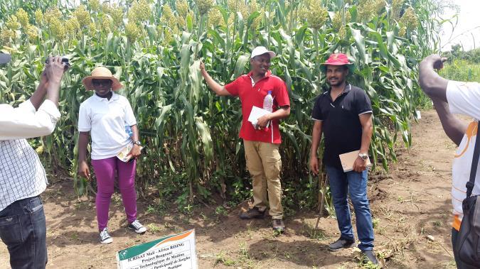 the presenttion of doule purpose sorghum nd sorghum hyrid technologies ws lso done (Figure 3).