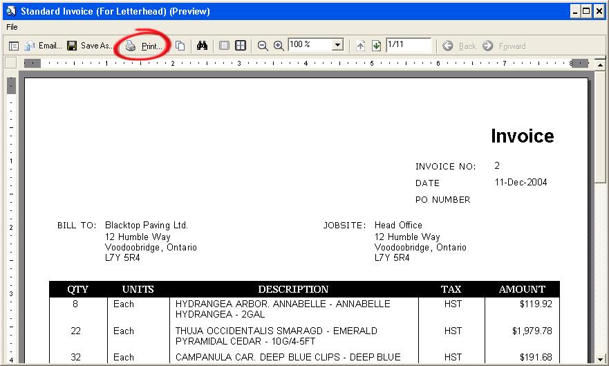 Once generated, the invoices appear in a print preview screen, allowing you to preview the output