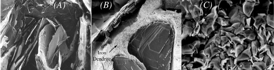 Chapter 5. Figure 16.7(B) also illustrates how the flake graphite has managed to grow around the dendrite branches.
