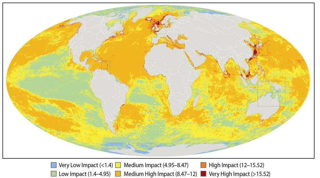 More than 40% of oceans already strongly