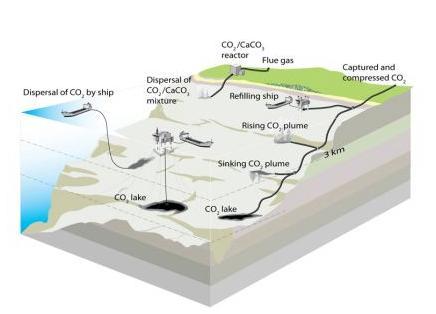 Carbon Sequestration Ocean fertilization Jack Cook,