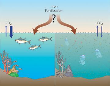seafloor (CO 2 lakes) Deep seabed injection