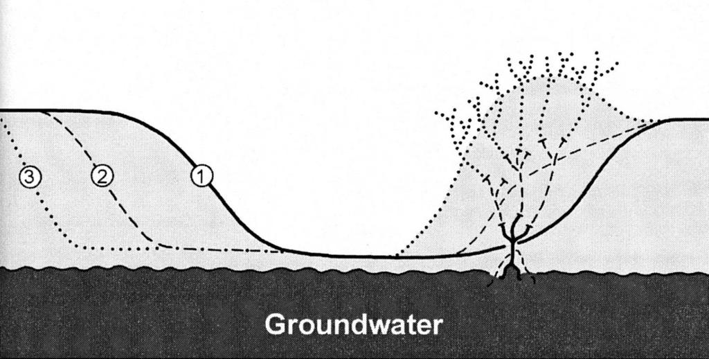 " (Meinzer 1923, U.S. Geological Survey Water-Supply Paper 494). (from: Runge M. 2004; in: Runge M, Zhang X (eds.