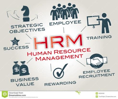 Human Resource Management and SMEs Small firms, constrained by resources, find it difficult to operate with a separate HR department.