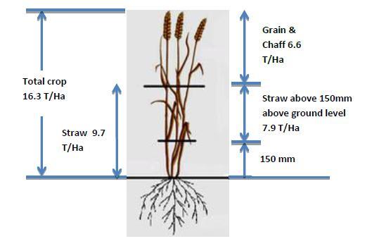 Schematic of Residual Straw