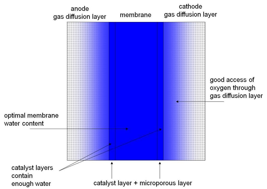 Gas Diffusion Media are extremely
