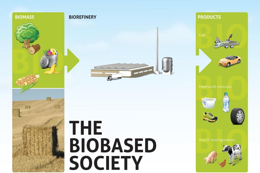 The Biobased Economy in practice