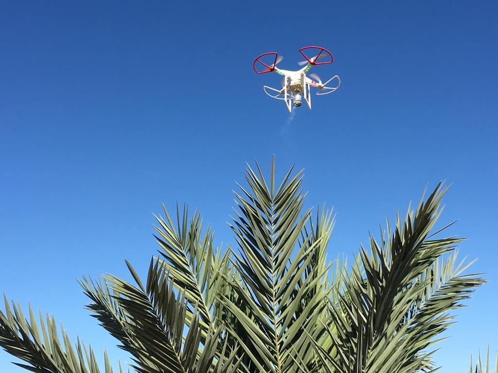 DRONES Develop and License Apps for