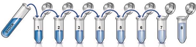 ASSAY PREPARATION 10. STANDARD PREPARATION Prepare serially diluted standards immediately prior to use. Always prepare a fresh set of positive controls for every use.