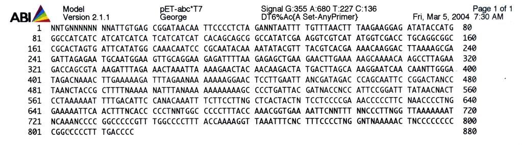Sequencing result of insert