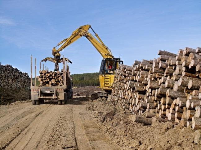 Proposed Operations in W01 Commercial Timber Permits (CTPs) are timber dispositions issued by the Alberta government, authorizing the harvest of Crown timber Millar Western is applying for a CTP to