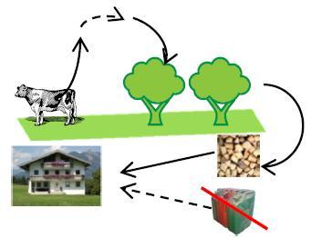 GHG-compensation with on-farm agroforestry activities GHGemissions carbon-uptake (poplar): 2.