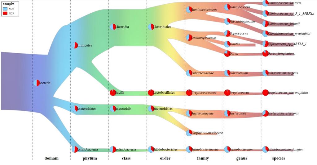 FUNCTIONAL COMPOSITION OF THE MICROBIOTA: SHOTGUN METAGENOMICS DISTINCT ENRICHMENT OF BACTERIAL GROUPS AND FUNCTIONS IN HIGH VS LOW CARB DIET High Carb Low Carb Coprococcus Dorea Streptococcus