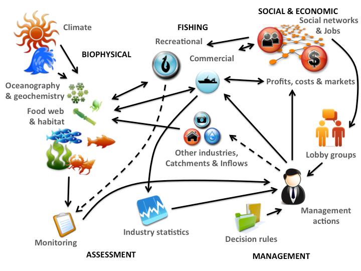 Schematic Connectivity of Chesapeake Bay EBM Modeling Model elements are all there but doesn