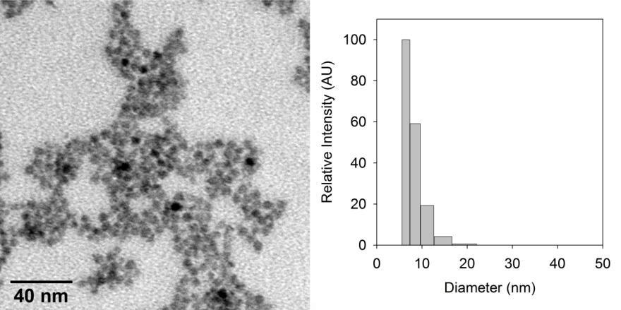 Quantum Dot Size-Minimization Two major strategies are implemented to stabilize QDs in biological media Polymer Encapsulation Thick bilayer shell
