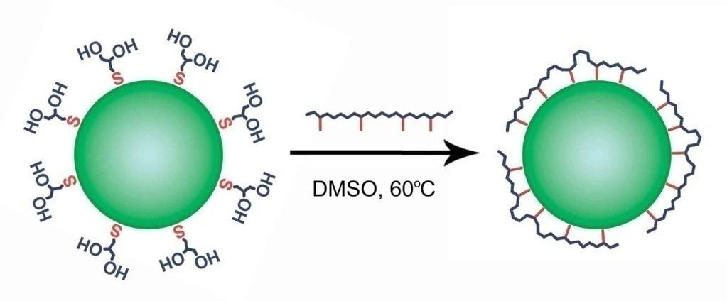 Hydrophilic Multidentate Ligands Polymeric ligands yield stable and compact nanoparticles Thiolated, aminated polyacrylic acid ~1800 Da polyacrylic acid: ~25 carboxylic acids on a linear polymer 35%