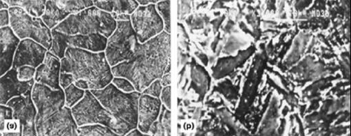 XRD and TEM analysis of 9Cr 1Mo V Nb heat-resisting steel 215 Microstructure in the weld metal of 9Cr 1Mo V Nb (P91) steel is austenite and a small amount of δ ferrite.