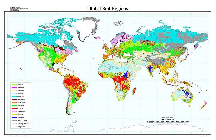 19 Figure 13: Global Distribution Map of the 12 soil orders used by USDA soil taxonomy Duration of the Project: Users can define two different time periods; one for the implementation phase, i.e. the active phase of the project commonly corresponding to the funding and investment phase, and another for the capitalization phase, i.