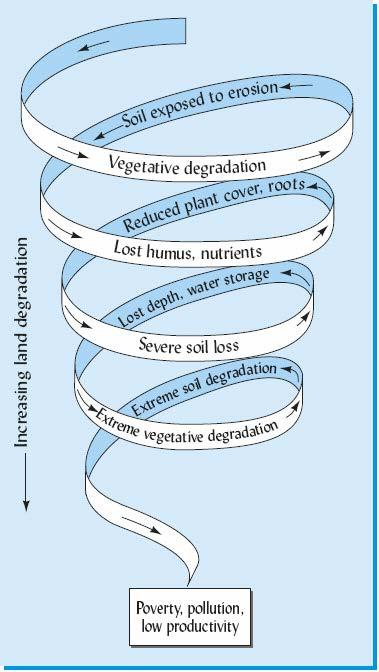 Figure 14.1 The downward spiral of land degradation resulting from the feedback loop between soil and vegetation.