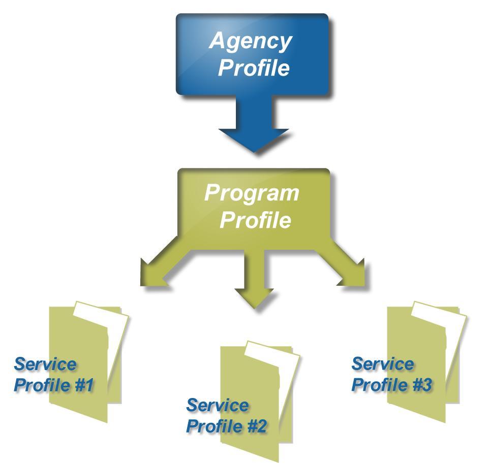 Section 2 Understanding Profile Types The Resource Database utilizes three profiles types to describe agencies, programs or services.