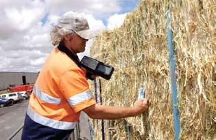 Who is the Australian Forage Group?