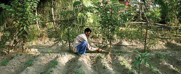 Dev Raj, a farmer, opens the sluice