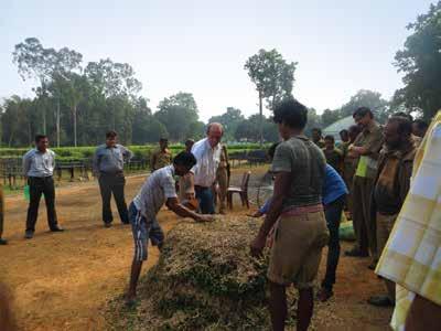 Outlay of the Central nursery BEST PRACTICES - Forest Management Information System (MIS) on Online Generation of Plantation Journal Training on composting at