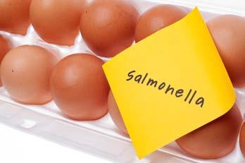The eggs, marketed under more than two dozen brand names, were found to be contaminated with Salmonella, a bacteria causing foodborne illness. The outbreak caused over 2,000 people to become sick.