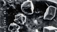 Inside the concrete, Xypex chemicals react with unhydrated cement particles and the by-products of cement hydration to form a non-soluble crystalline
