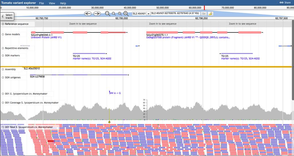 JBrowse Genome browser A VCF file tends to become tediously large.