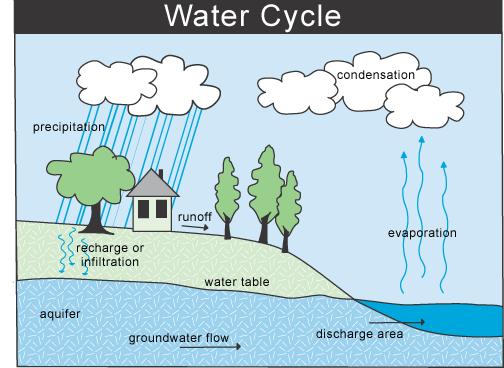 37) Water cycle, Carbon