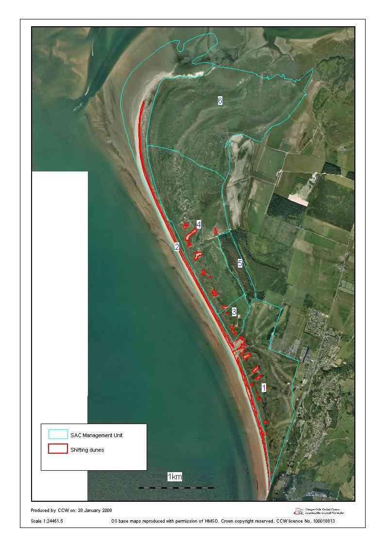 Map 4. Extent of the Shifting Dunes at Morfa Harlech in 2006 excluding unit 5 This map was created from digitised using aerial photographs (COWI-Vexcel 2006).