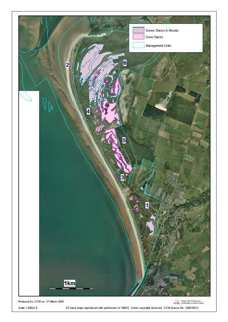 Map 6. The extent of the Humid Dune Slacks and Dunes with Salix repens at Morfa Harlech in 2007 excluding Unit 5 This map was created from NVC data from Ashall et al 1995.