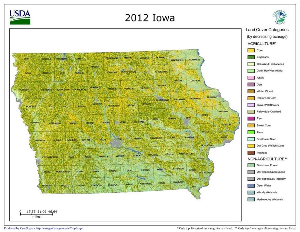 Use Acres Percent of Total Acres Corn 13,417,418 37% Soybeans 8,882,633 25% Grassland