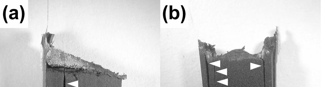 Figure 3: Representative optical micrographs illustrating the different failure modes observed in the specimens under investigation: (a) global shear failure (C4s, SC3s,