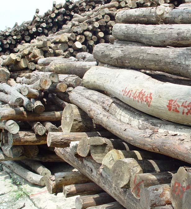 The Paper & Board Industry Expansion Chinese imports of market pulp & use of domestic wood Chinese imports have accounted for 3.88% of the global market in 1997; 12.86% in 2003; A 26% growth p. a. between 1997 and 2003 while growth was 1.