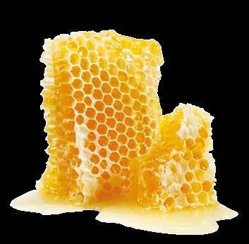 Reflectoquant system Fast and inexpensive alternative to supervise raw material ingredients during production > HMF in honey The amount of hydroxymethylfurfural (HMF) in honey is an important quality