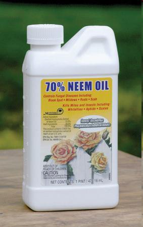 Neem Neem tree extract light oil Make sure plants are not drought