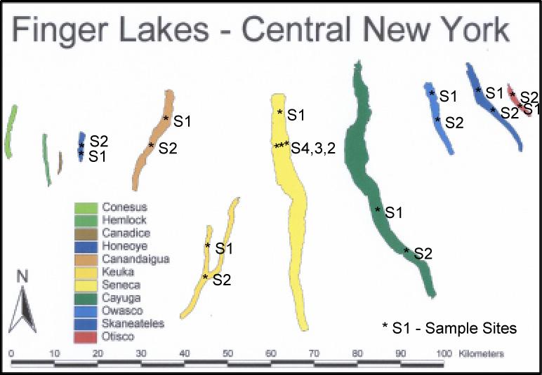 Cayuga Lake Phosphates & Suspended Sediments 5-7 Mean Phosphate 1 1 8 6 5 Surface 6 Surface 7 Surface 5