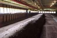 removed, apply lime (50-150 #/1000 ft2), till, stockpile (4 high) for 3 days Spread and let dry Reduce litter bacteria, ammonia and odor Poultry Sci.