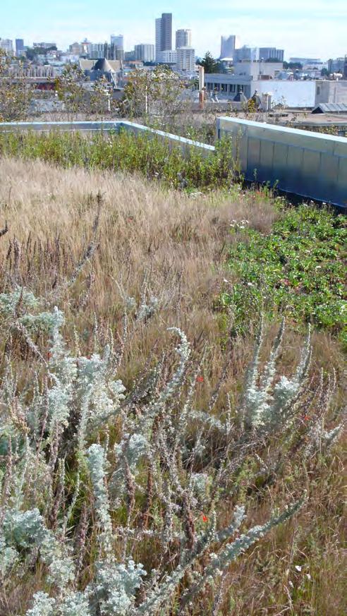 San Francisco Stormwater Management Requirements and Design Guidelines Typical Detail Content The details are organized to guide the licensed professional to the proper selection, layout, and design