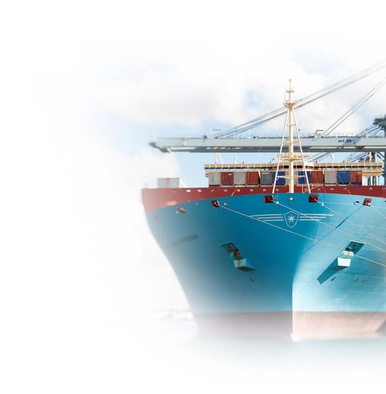 SEA FREIGHT SERVICES Ocean FCL (availability of all equipment) LCL services (dry and temperature controlled) Worldwide door delivery for FCL and LCL shipments Over-sized, Break Bulk and Project Cargo