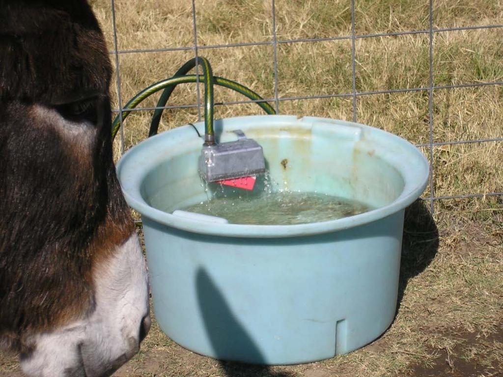commode Donkeys drinking from a watering trough