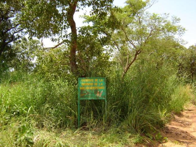 Two types of wildlife habitats The second type of wildlife habitat is: Classified forests and wildlife reserves