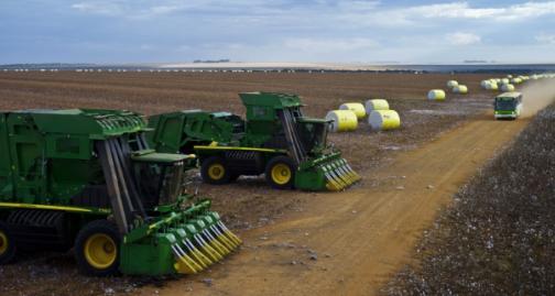 Add value to produce a cotton gin and fiber baling implements used to separating the lint from the seed at