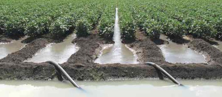 Australia best practice Soil and leaf testing used to