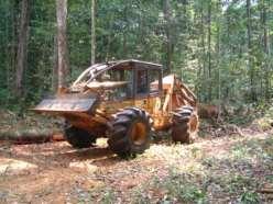 biodiversity) From forest management plan (100% inventory, 45 cm dbh) to illegal logging